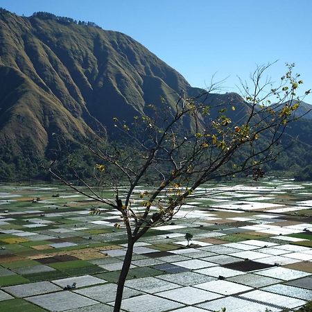 Rinjani Green Park Syariah Hotel 塞姆博伦拉旺 外观 照片