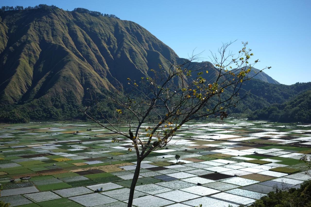 Rinjani Green Park Syariah Hotel 塞姆博伦拉旺 外观 照片